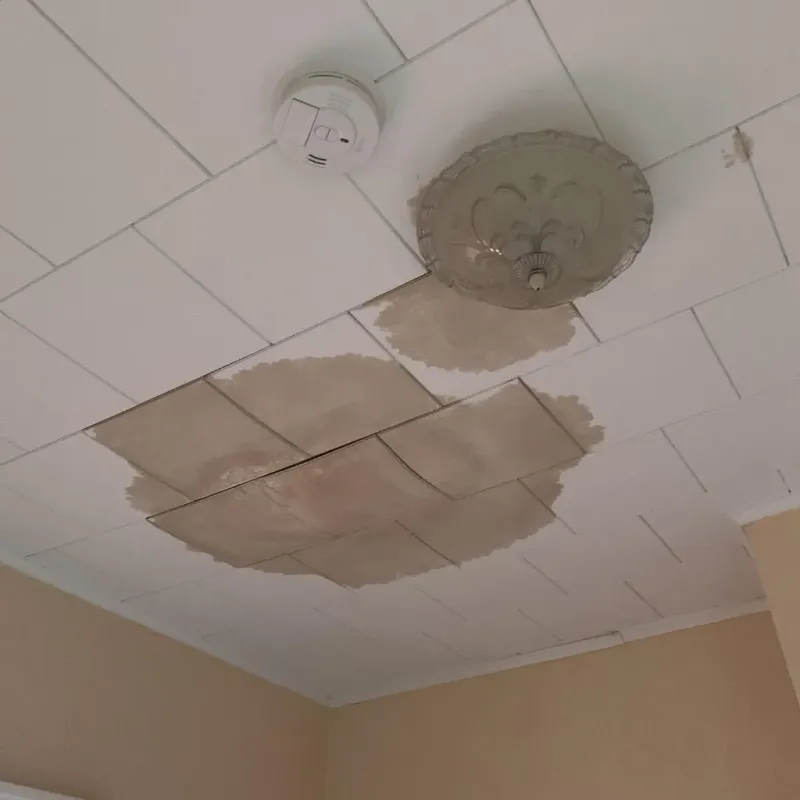Ceiling Water Damage Repair in University Park, TX